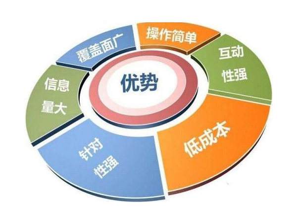 网络推广公司的营销推广策略与技术服务指南